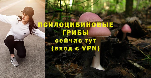 соль ск Касимов