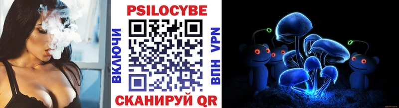 Купить закладки  Макаров  Псилоцибиновые грибы мицелий 